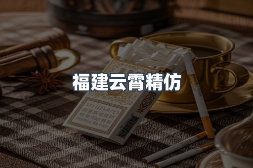 福建云霄精仿